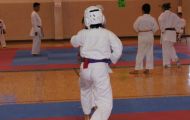 DSC05995
