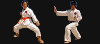 kachi karate hawaii